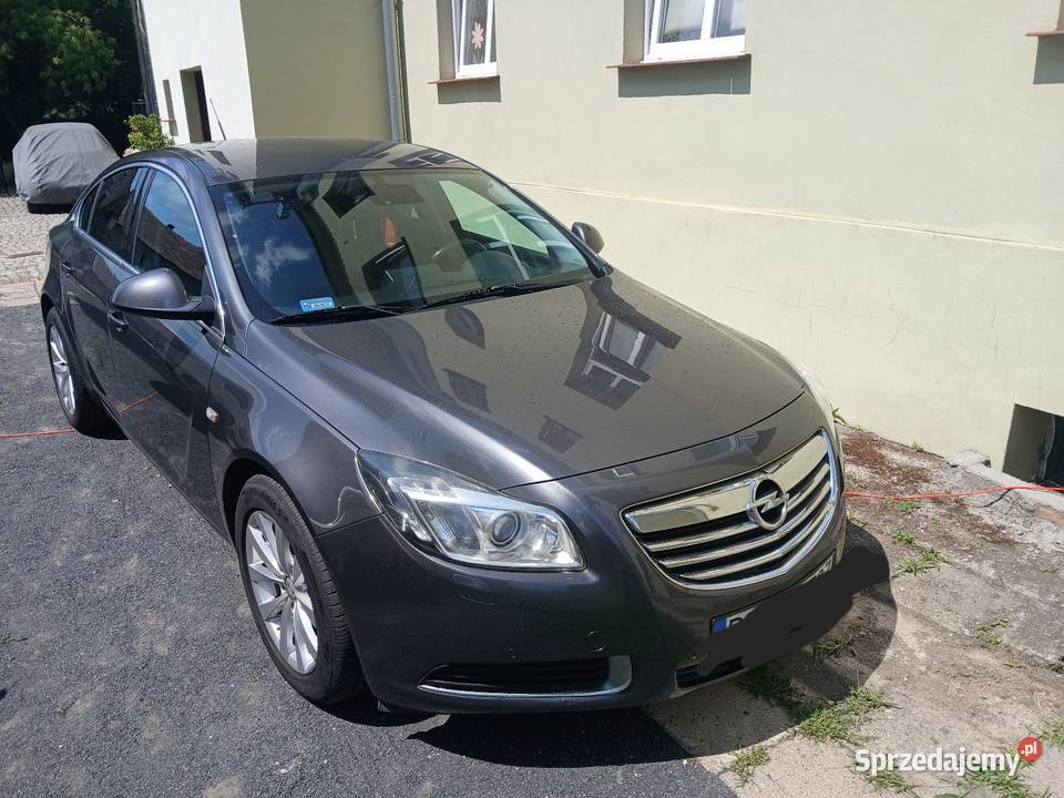 Opel Insignia dolnośląskie Chojnów