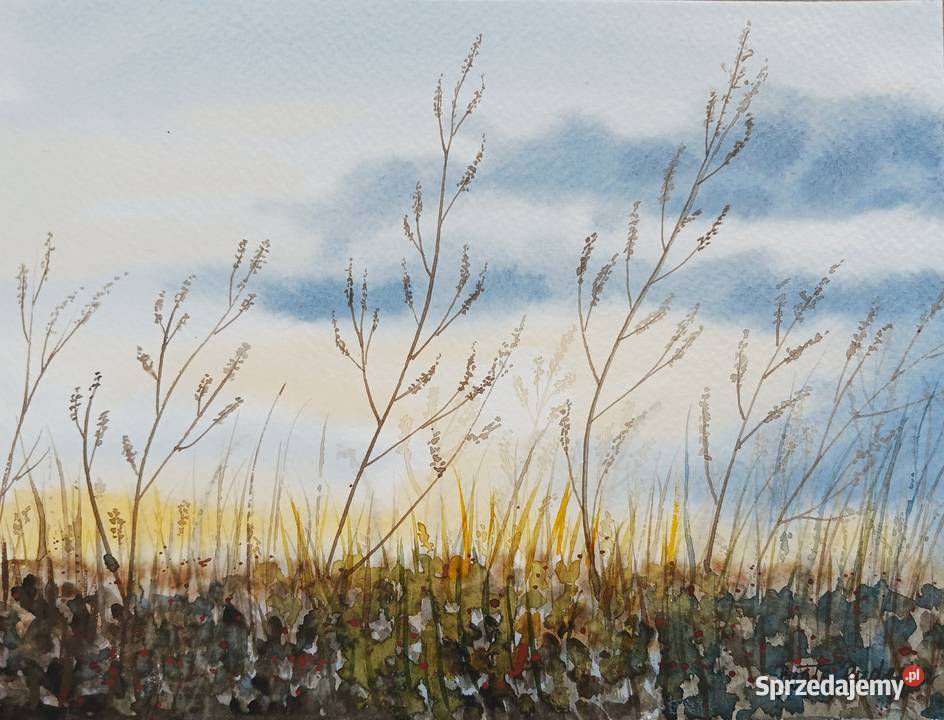Akwarela Akwarelka Obraz pt Marzenie 24 x 18 Łódź