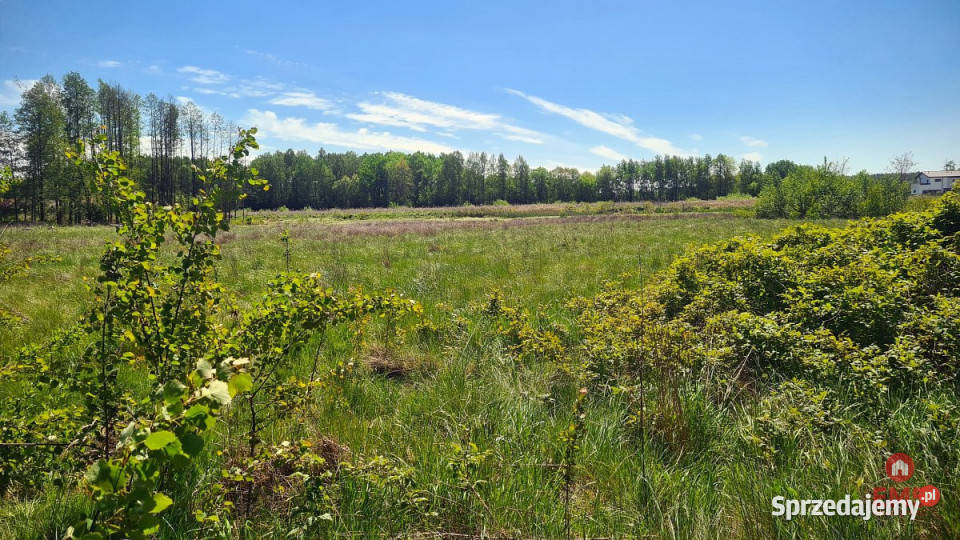 Działka Zaścianki 14263m2