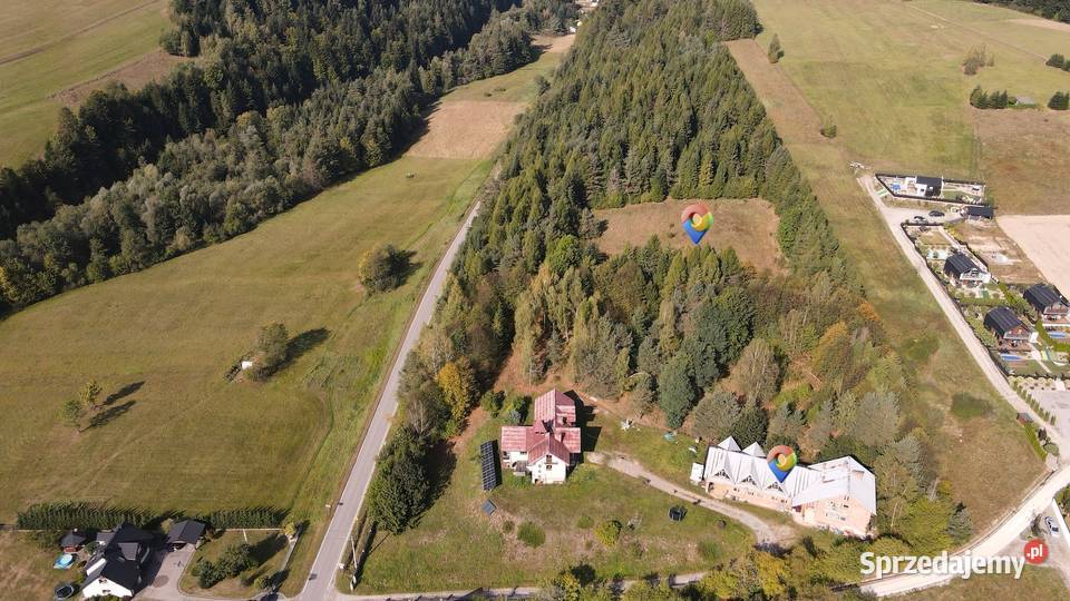 Działka 149 ha Polany gmina Krynica Zdrój rolna Sprzedaż