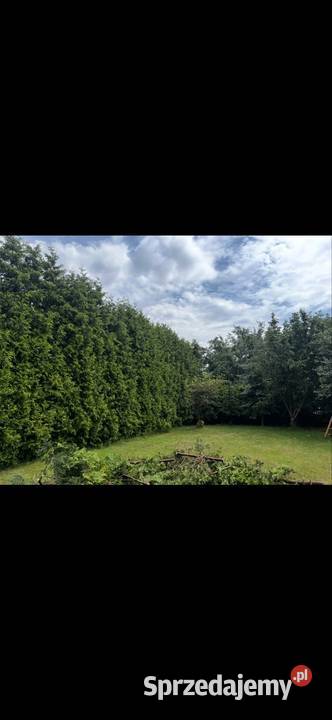 Sprzedam dom Zawiercie