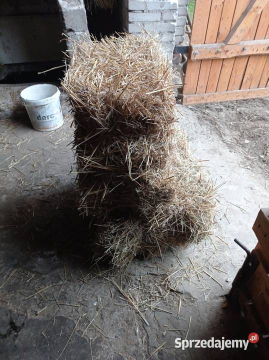 Słoma pszenżytnia Żarki