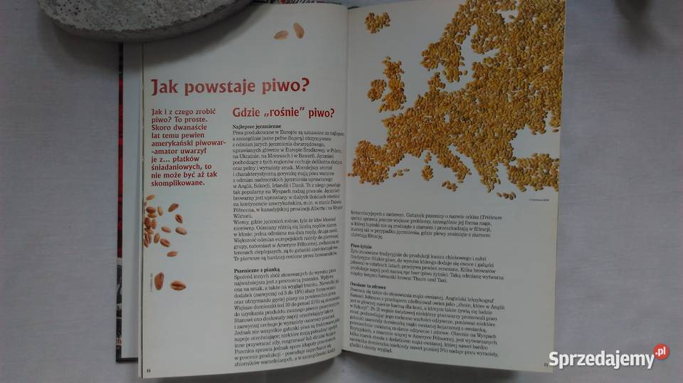 PORADNIK PIWA Tyskie vademecum piwa Białystok
