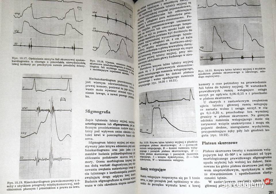 Nauka o chorobach wewnętrznych Tom 1 Witold Chełm