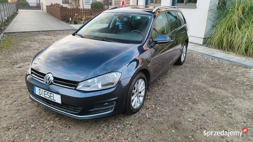 Volkswagen Golf 7 lounge 16 TDI 2016 Poznań