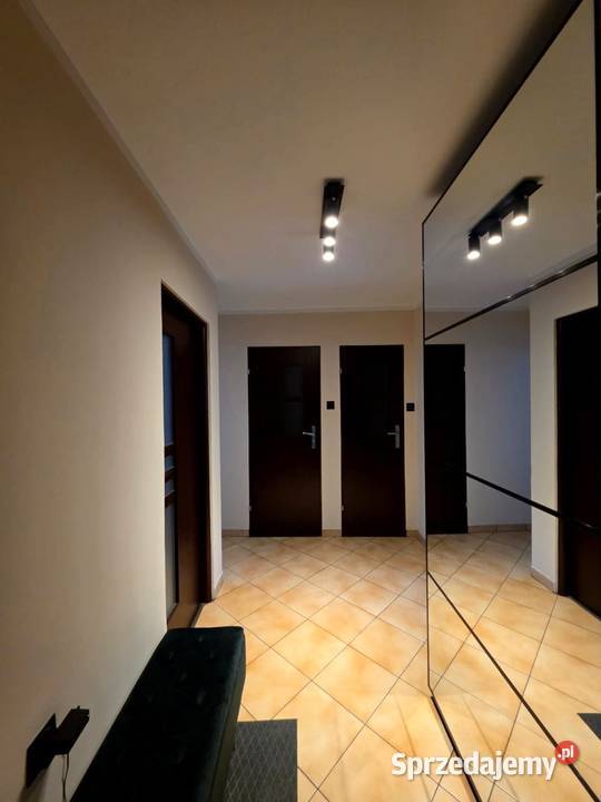 Kuźniki Sarbinowska I 2 pokoje I 4955 m I dolnośląskie Wrocław