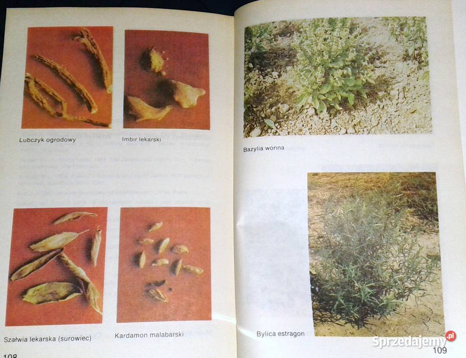 Ziołowe przyprawy kuchenne Zenon Węglarz Chełm