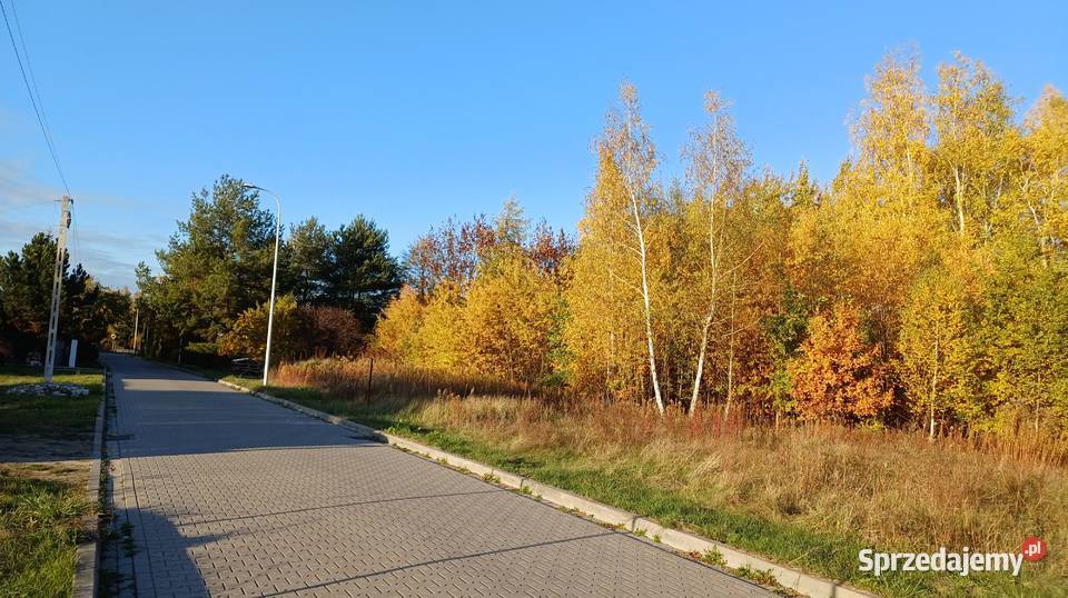 Działka 1050 m Rusiec cisza szkoła 700 m media 3