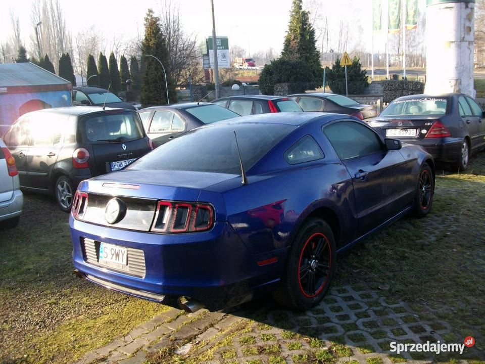Ford Mustang 2013 r227 kw 3731 3 V 20052014 Katowice