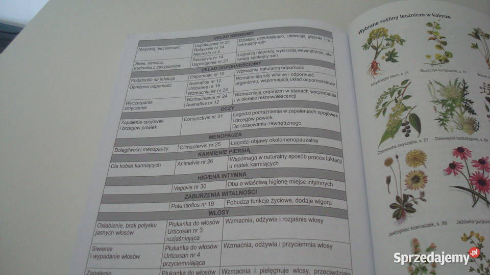 Zioła w nalewkach leczniczych Osięciny sprzedam