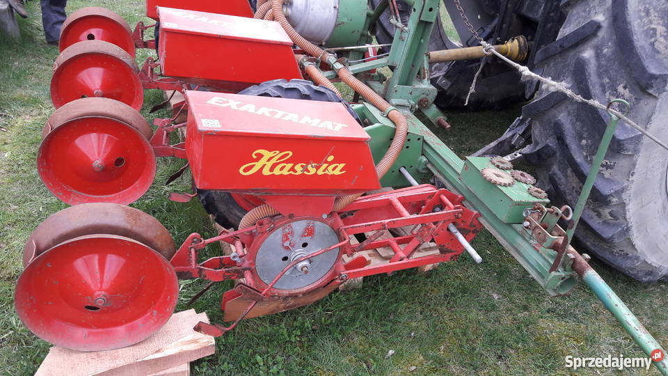 Siewnik do kukurydzy hassia Luszowice