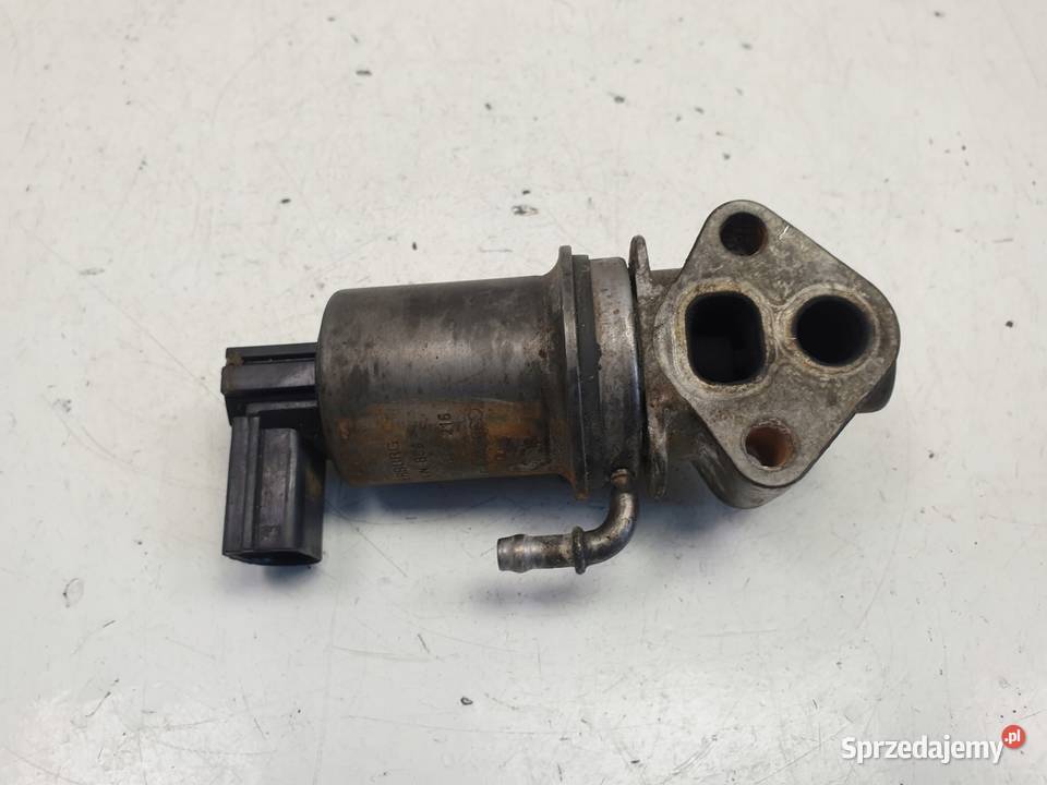 Audi A3 II 8P 16 8V ZAWÓR EGR 72257402 Recyrkulacja spalin EGR Chełm