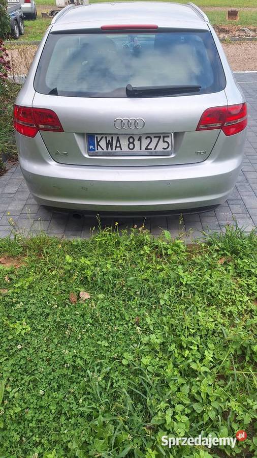 Audi A3 8P Brzeźnica