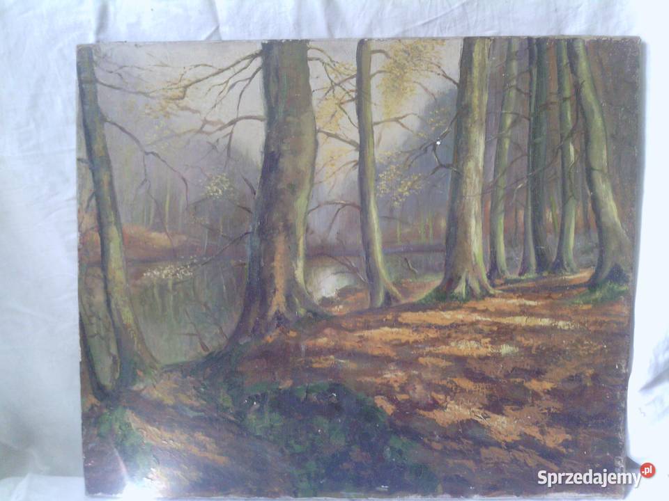 Obraz olejny bez ramy lubelskie Lublin