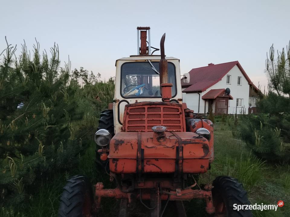 Koparko spycharka białoruśka Warszawa