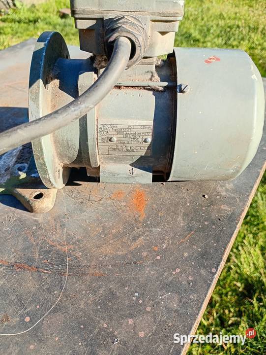 Silnik Elektryczny Dom i Ogród Maszewo