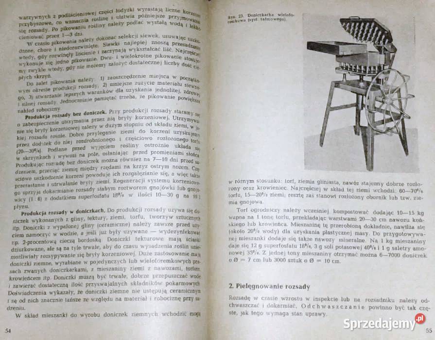 Warzywnictwo M Lityński H Nieć lubelskie Chełm