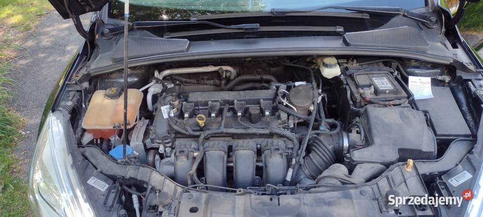 ford focus 20 benzyna automat 86 przebiegu klima Kraków
