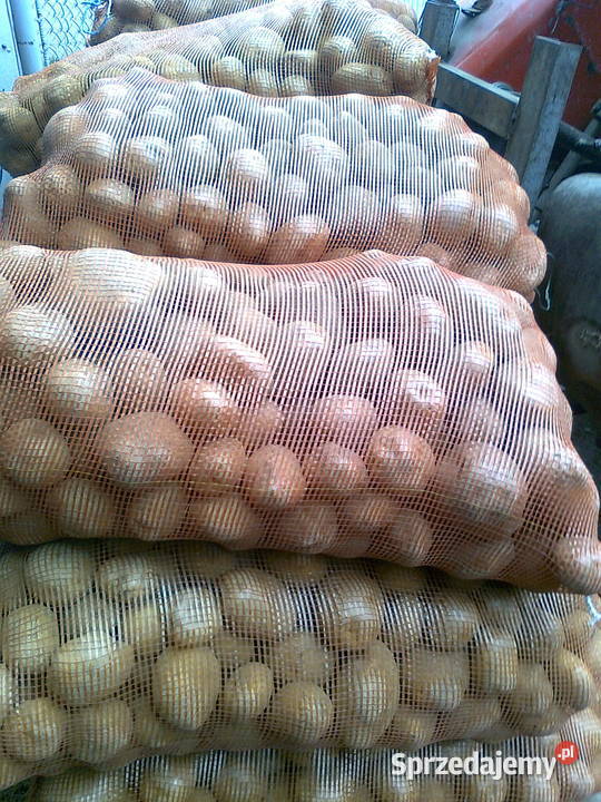 Ziemnaki Bellarosa Rosalind Irga Rośliny okopowe Radymno sprzedam