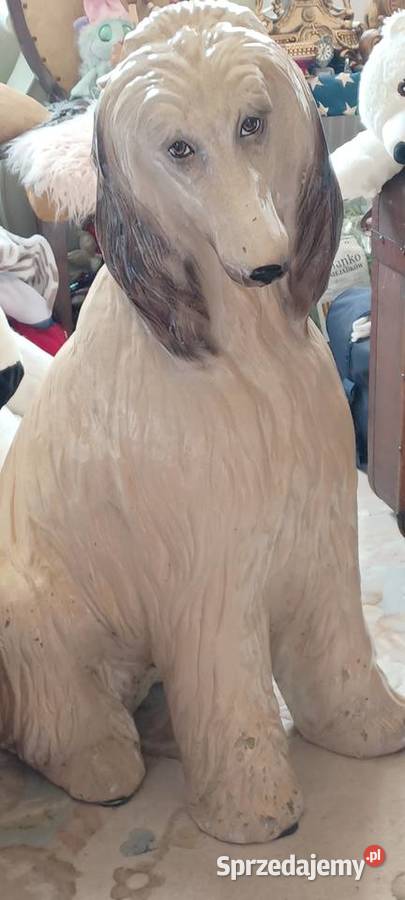 figura Natur wiel chart afgański firmy Continenl Poznań sprzedam