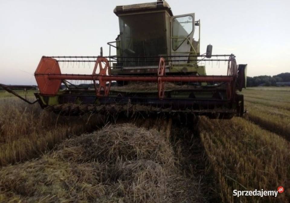 Claas dominator 86 Czarnocin