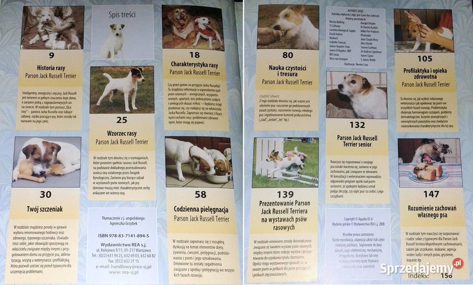 Jack Parson Russell Terrier Christina Pettersall Chełm