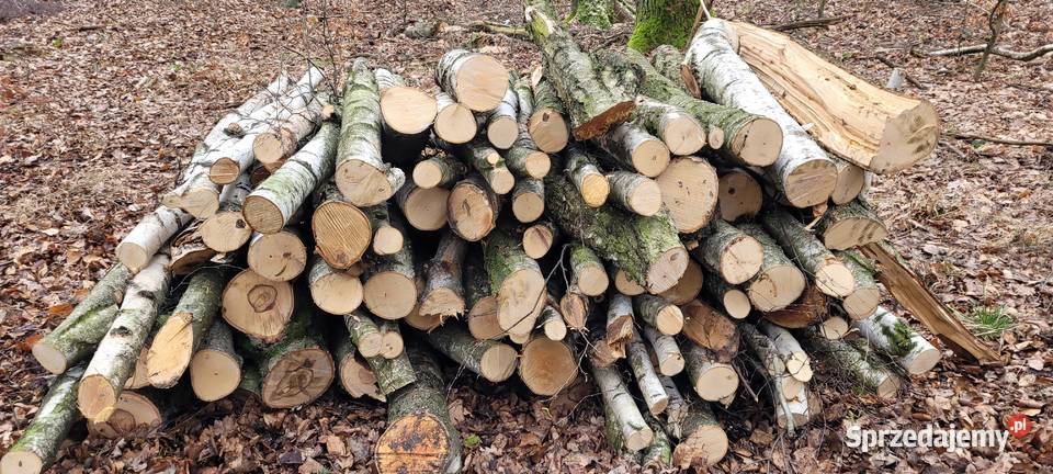 Drewno bukowe dębowe jesion brzoza Katowice sprzedam