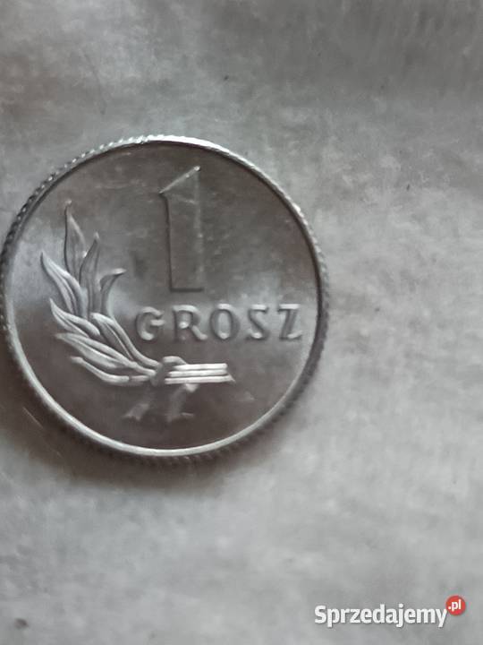 Sprzedam monete 1 groszy 1949 fffff Chełm