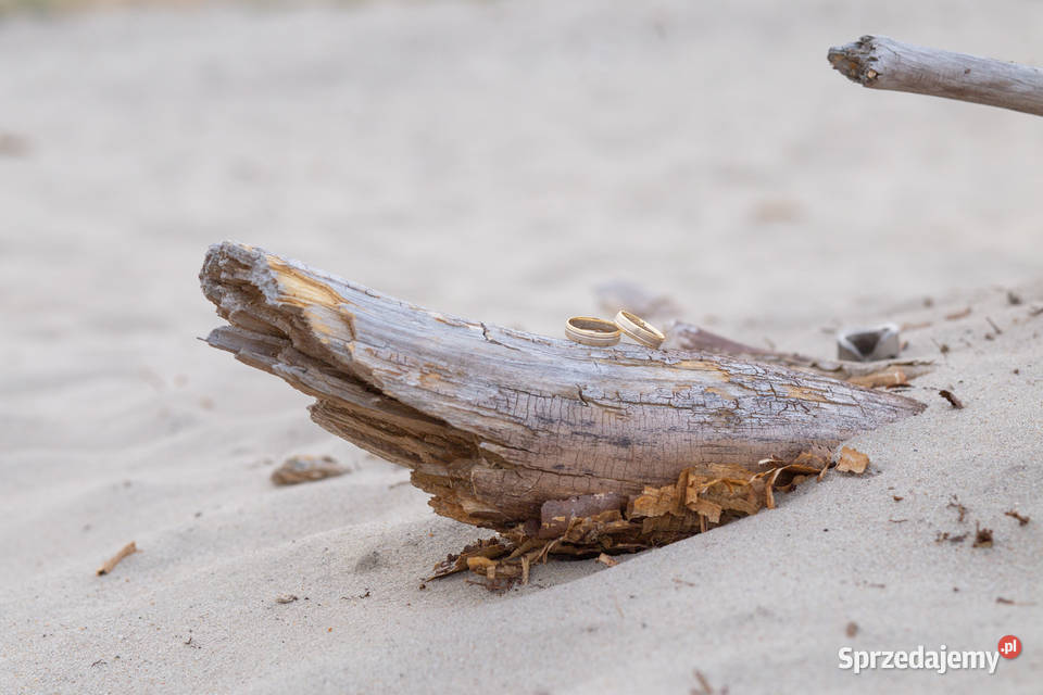 Fotografia Chrztu Komunii Imprez Okolicznościowy Kłomnice