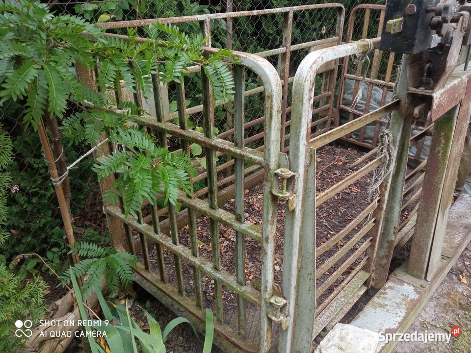 Waga duża inwentarzowa Babin