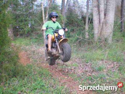 Baja MINI MOTO Pocket Bike 196 3 Cross Militarny