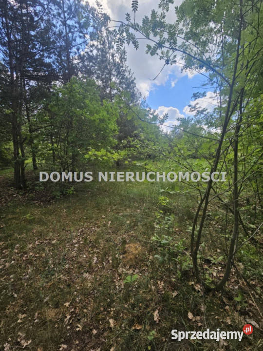 Grunt Brzeziny 2096m2