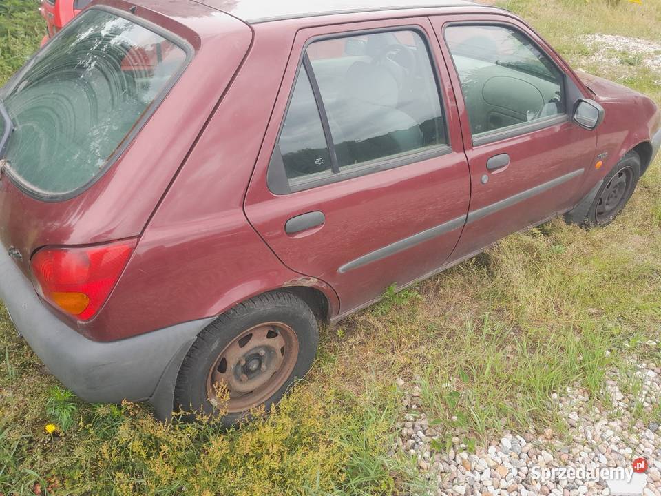 2 fiesty jedna ponizej złomu benzyna Ford Witnica