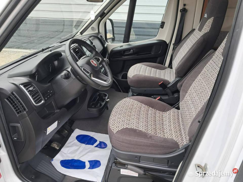 samochody kempingowe Laika kosmo 509 emblema