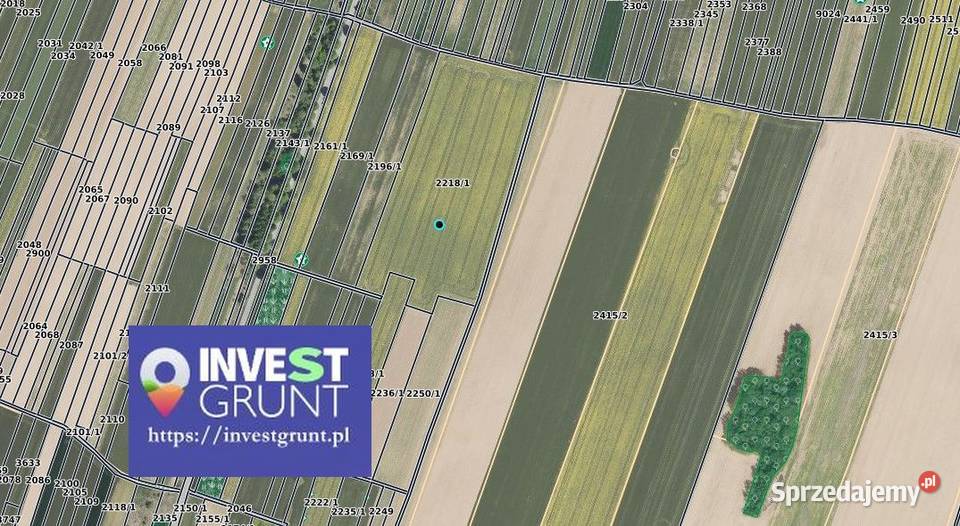 352 ha przetarg na dzierżawę gruntów pod 35200m2 Pajęczno