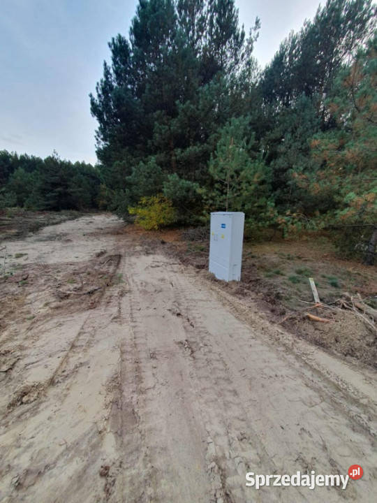 Działki budowlane koło lasu cicha miejscowość Chrzczanka Włościańska