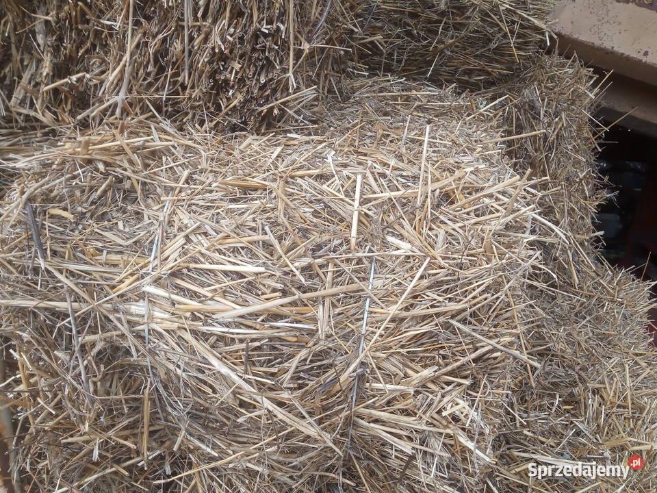 Sprzedam słomę w kostkach Lublin