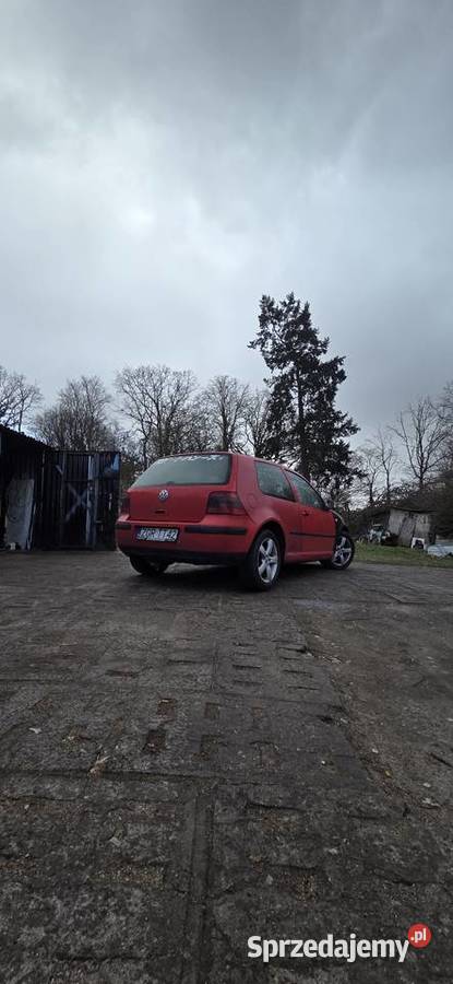 1998 Golf 4 14 16v Golf