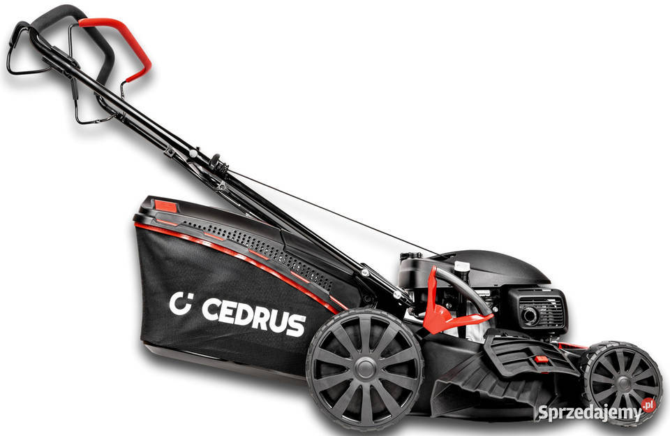 HONDA KOSIARKA SPALINOWA DO TRAWY CEDRUS KS53SH Opalenica