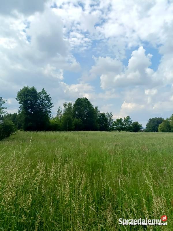 ŁADNA DZIAŁKA W ŚWIERZOWEJ POLSKIEJ 24 AR