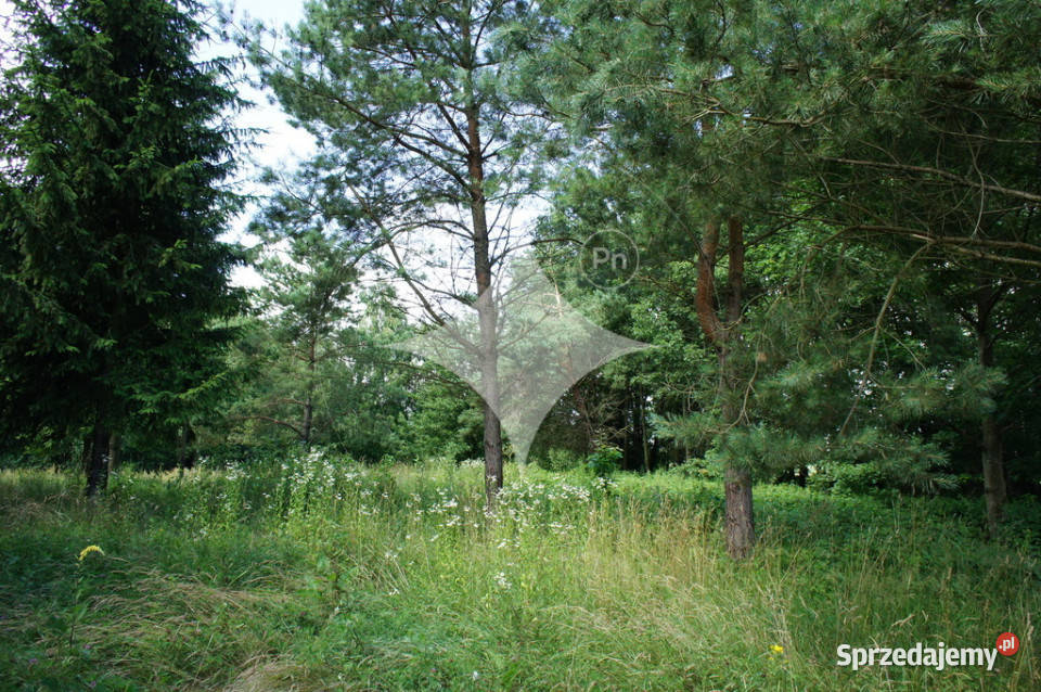 Działka rolnobudowlana j Tajno Orzechówka utwardzona sprzedam