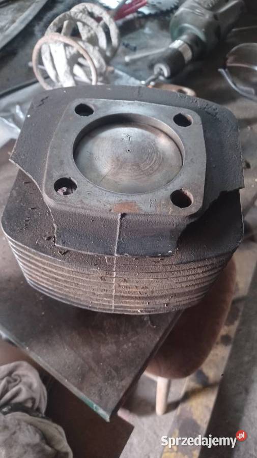 Cylinder dzik dzik 21 Tyczyn