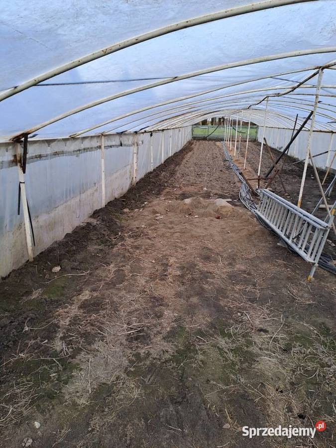 Sprzedam tunel foliowy Niedrzwica Kościelna