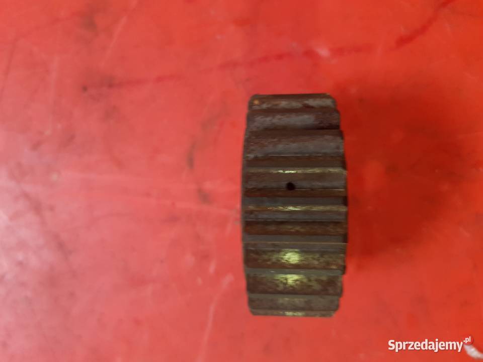 Koło zębate Satelit