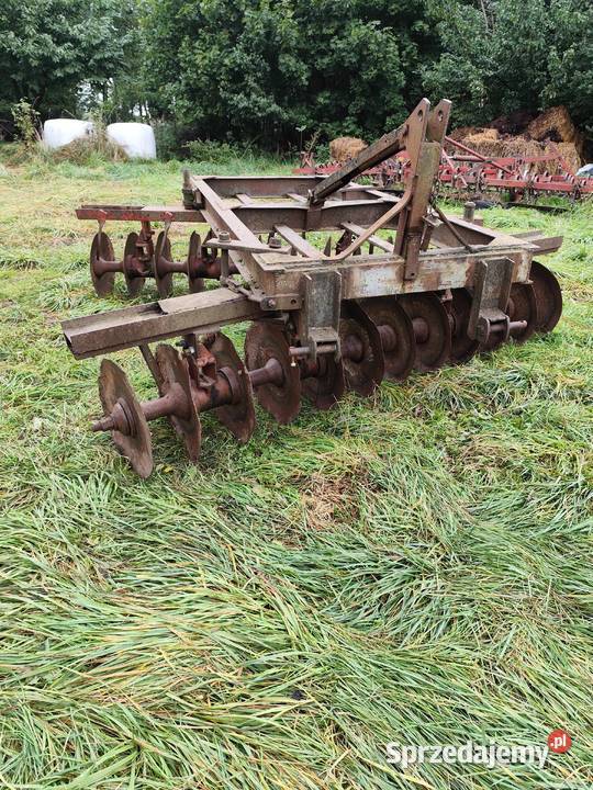 MTZ 82 talerzówka Jabłonowo Pomorskie sprzedam