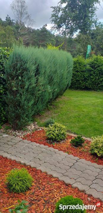 Ładna działka rekreacyjna Włocławek