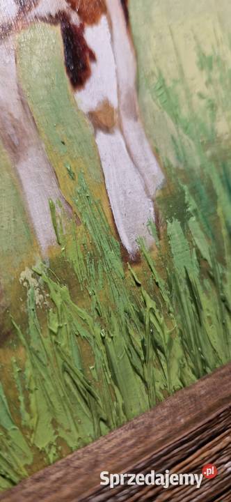 Obraz olejny ręcznie malowany Krówka piękna Męcina