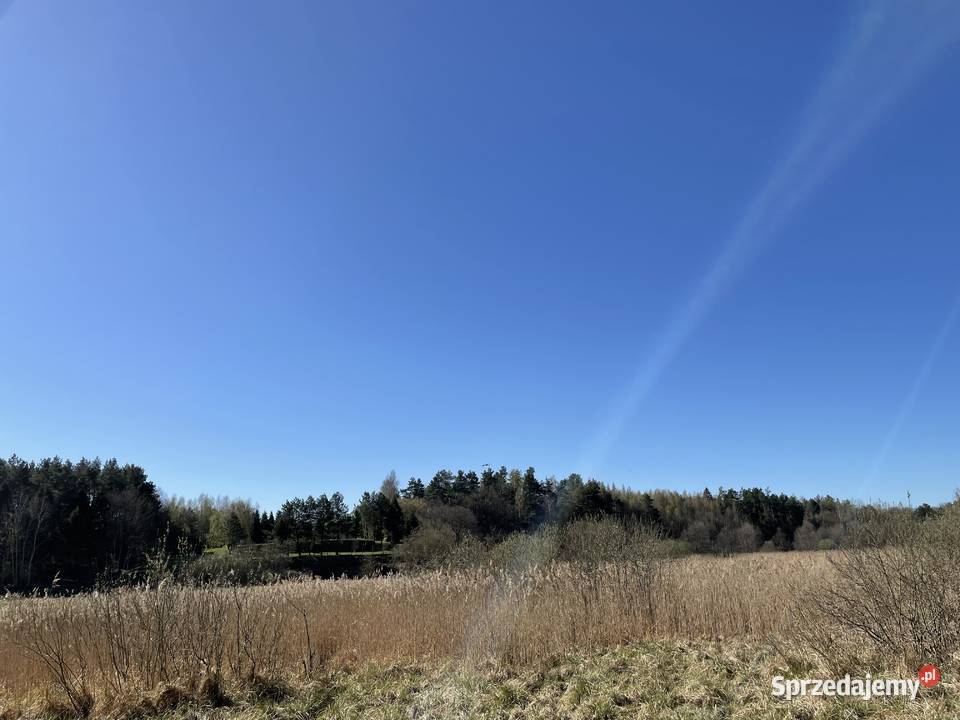 Działka rekreacyjna Bożepole Królewskie 4600 m2 Kamierowskie Piece