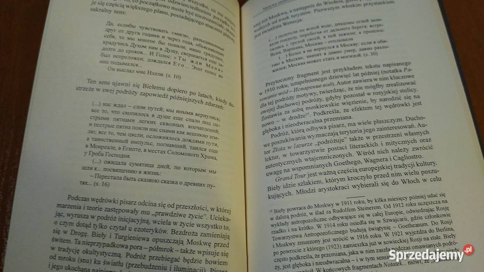 Ezoteryzm w kulturze XX i XXI wieku red Karolina pomorskie Gdańsk