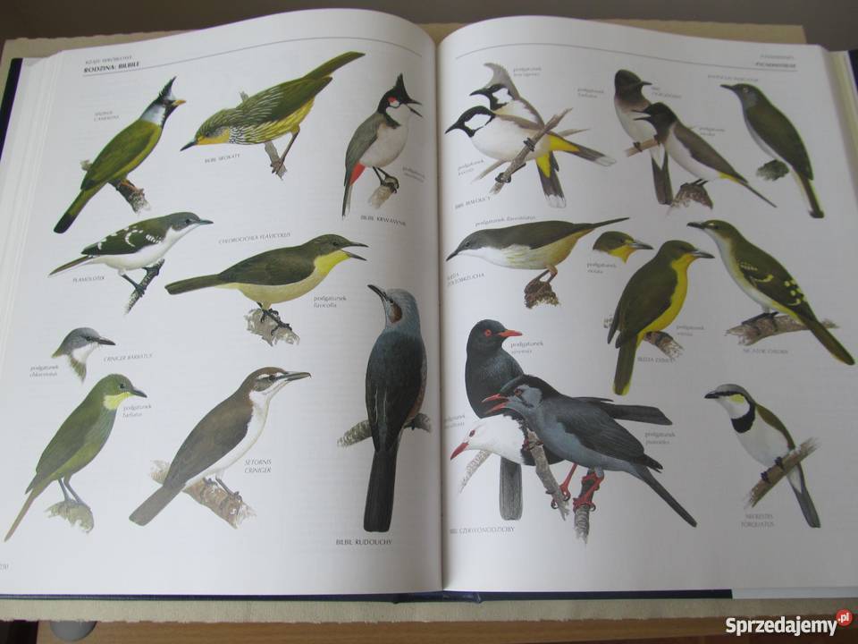 WIELKA ENCYKLOPEDIA PTAKÓW Perrins ChM album, atlas lubuskie Zielona Góra